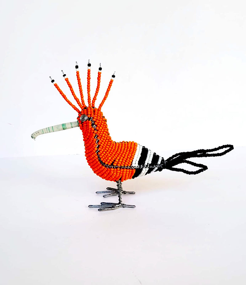#9615 African HooPoo Bird