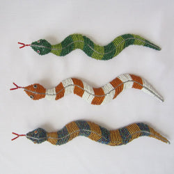 #9558 Exotic Snakes